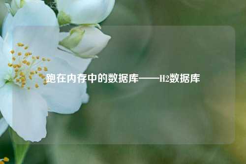 跑在内存中的数据库——H2数据库